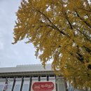 뮤지컬<해피한하루> | 2025 뮤지컬 레드북 후기 - 민경아, 김성식, 조풍래, 원종환, 한세라 외 (25.11.08) / 유니버설아트센터...