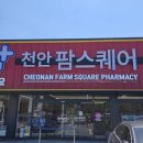팜스퀘어약국 네이버블로그
