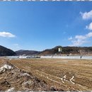 양평생생부동산공인중개사사무소 | 양평공인중개사 양평땅 진이서공인중개사사무소의 믿음직한 서비스