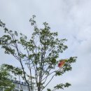 경북휴먼테크고등학교 이미지