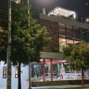 노부스테라 이미지