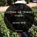 진욱이네농장 | [나빌레라 호주 워홀 일지#48] 150311 마지막 픽킹!