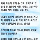 차주와 견주 누구 잘못인지 궁금한 제보자 이미지