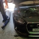 장일카센타 이미지