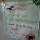 카페마카조은 이미지