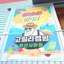 매드 고릴라 | [부산캠핑용품점:-) 고릴라캠핑 사하점, 내돈내산/ 매드독 캠핑테이블/의자 세트 구매 후기]