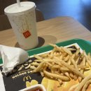 HAPPY런(일-130호) | [31살 오사카 워홀러 D+362~365] 타치아이, 눈물의 이별, 워홀의 마지막, 귀국.