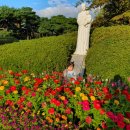 솔뫼목장 이미지