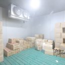 대전 냉동 탑차 이미지