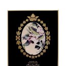 케어모어 이미지