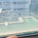 유공빌딩 이미지