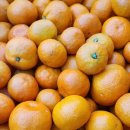 천지배농장 이미지