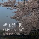 서호1교 | [공지] [2026 서울 플리마켓 일정] 석촌호수·양재천·여의도 벚꽃 시즌 작업실진 참여 마켓 안내