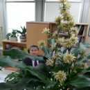 동대문구청 이미지