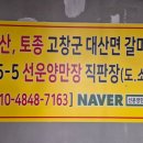 선운양만장