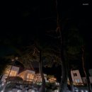 보나의언덕 이미지