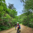 양리샘터 | [삼척시 근덕면, 원덕읍, 노곡면] 사금산 권역(궁방산, 피대봉, 한오봉) 1일차 임도 라이딩 후기