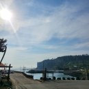 서귀포하나로공인중개사사무소 이미지