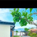 스테이 다래 이미지