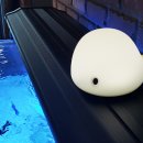 우리전기조명 이미지