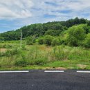 금산농장 이미지