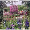 곡성-054 이미지