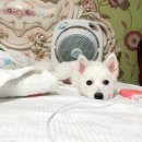 현동물병원 이미지