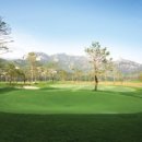 온그린 골프장 이미지