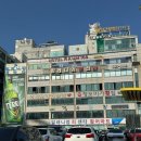 광안리회포장 현지인이 인정하는 민락동회센터 도시꼬상회 솔직후기