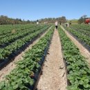 대박농장2 이미지