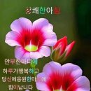 상계마트 이미지