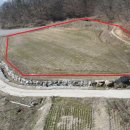 땅파남부동산중개사무소 이미지