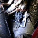 카니즈 강북점 캠프모터스 이미지