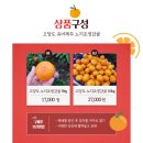 레드향 민박 이미지