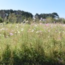 경기둘레길 화성47코스 이미지