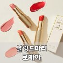 살랑 | 잘 안 지워지는 립스틱, 살랑드파리 립스틱 로제아 알아본 후기
