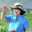 농업회사법인(주)반디 이미지