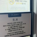 강릉 애견동반 호텔 세인트존스호텔 펫룸 2박3일 후기