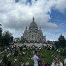 궁전약국 이미지