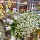 인후해맑은약국 이미지