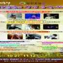 강진-17 여성종합뉴스