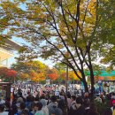 마라톤뼈다귀해장국 | JTBC마라톤 10KM 완주 후기