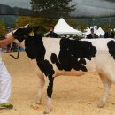 우현목장 이미지