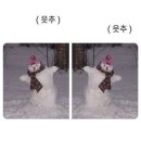 여주스파이더