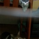 서경석동물병원 이미지