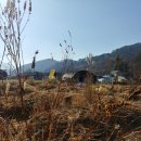 진배농장 이미지