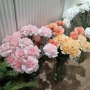 도봉-쌍문-도봉-1557 이미지