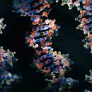 나노병원 이미지