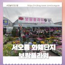 은평구 꽃집 파주 꽃시장 서오능 하훼단지 보람플라워