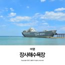 GS25 영덕 장사점 | 영덕 푸른 바다 물놀이 아이와 가볼 만한 곳 추천 장사해수욕장 샤워 가능